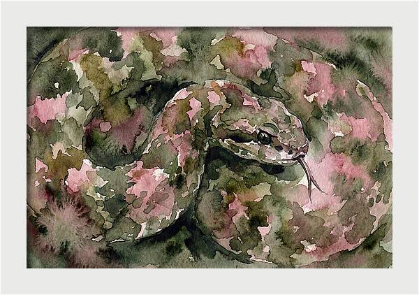Vibrant Viper Watercolor