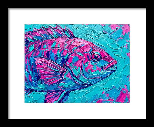 Vibrant Wrasse In Bold Colors