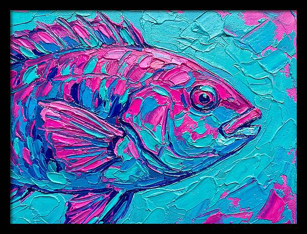 Vibrant Wrasse In Bold Colors