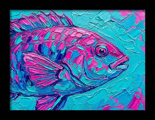 Vibrant Wrasse In Bold Colors