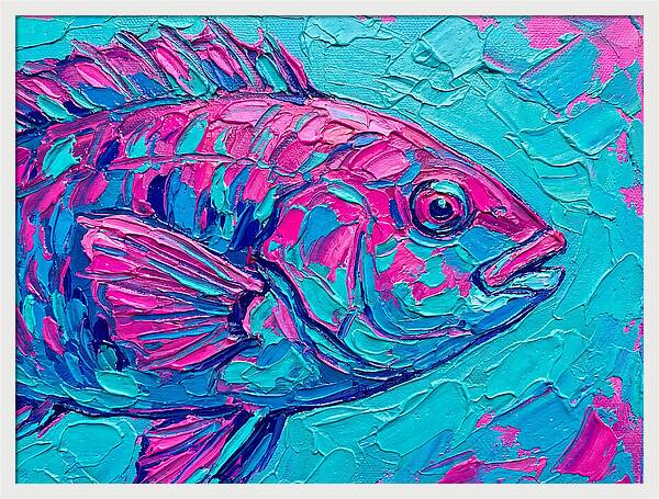 Vibrant Wrasse In Bold Colors