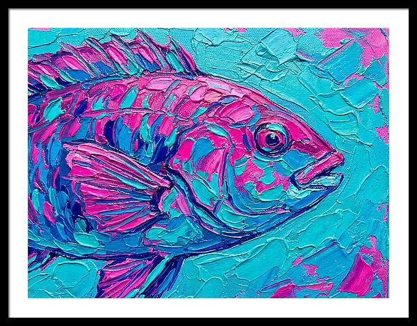 Vibrant Wrasse In Bold Colors