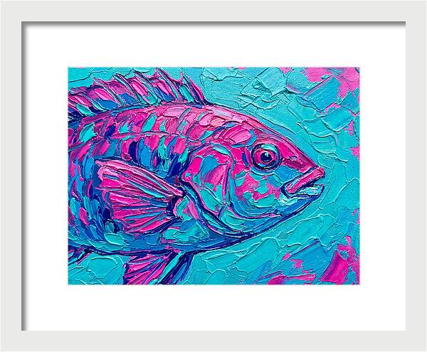 Vibrant Wrasse In Bold Colors