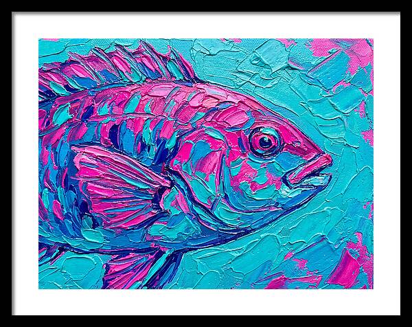 Vibrant Wrasse In Bold Colors