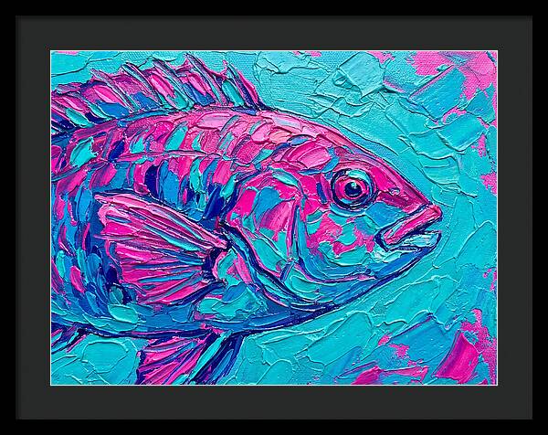 Vibrant Wrasse In Bold Colors