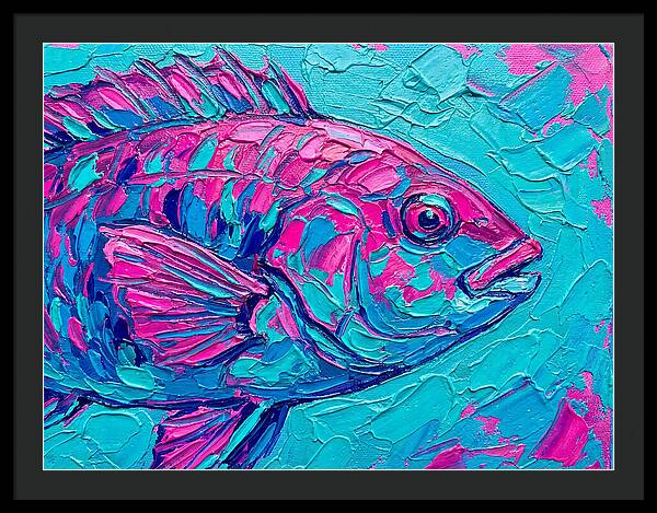 Vibrant Wrasse In Bold Colors