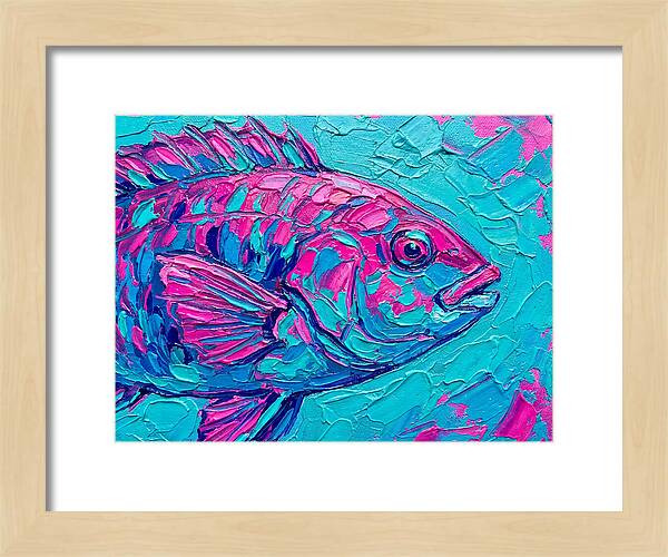 Vibrant Wrasse In Bold Colors