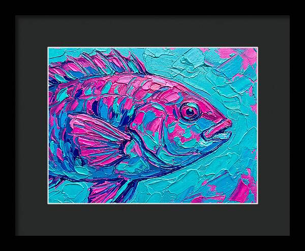 Vibrant Wrasse In Bold Colors