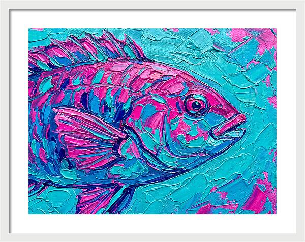 Vibrant Wrasse In Bold Colors