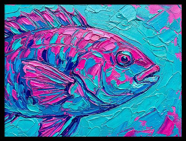 Vibrant Wrasse In Bold Colors