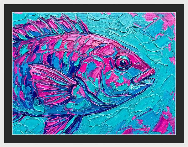 Vibrant Wrasse In Bold Colors