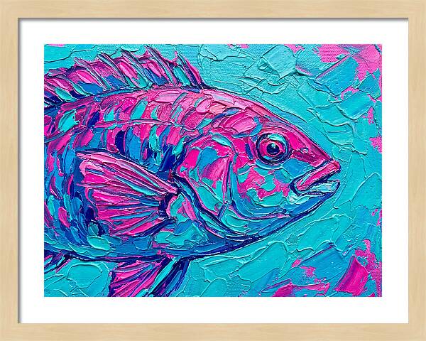 Vibrant Wrasse In Bold Colors