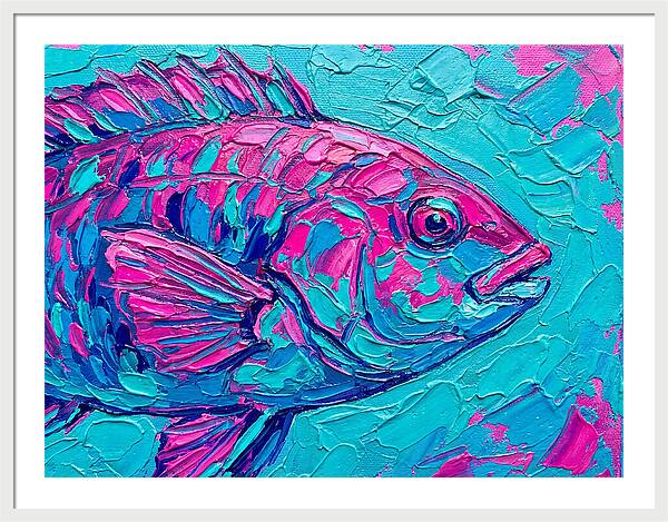 Vibrant Wrasse In Bold Colors