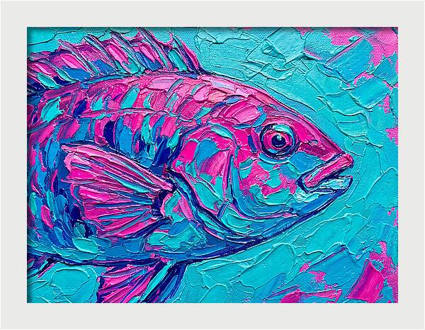 Vibrant Wrasse In Bold Colors