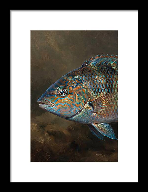 Vibrant Wrasse Portrait