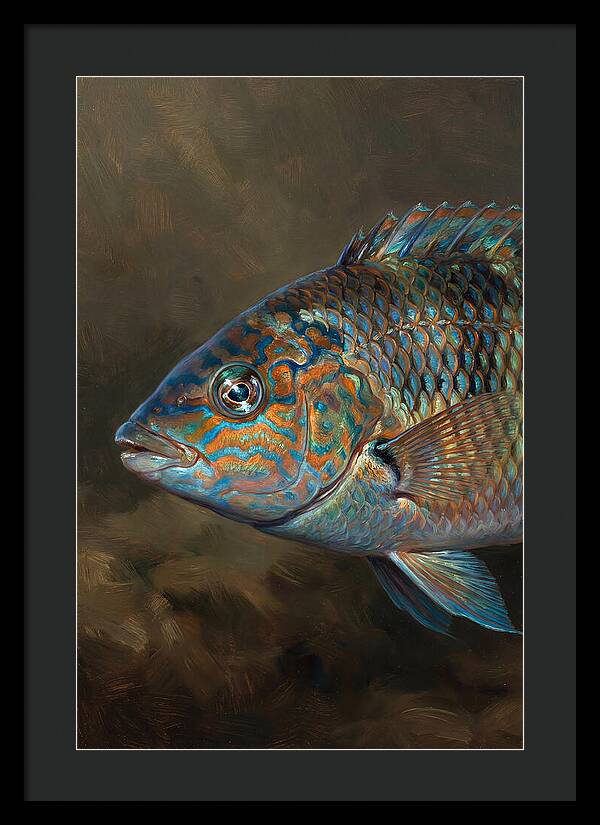 Vibrant Wrasse Portrait
