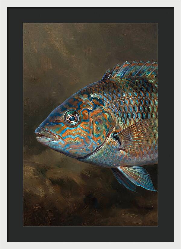 Vibrant Wrasse Portrait