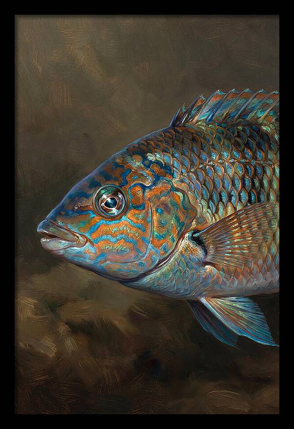 Vibrant Wrasse Portrait