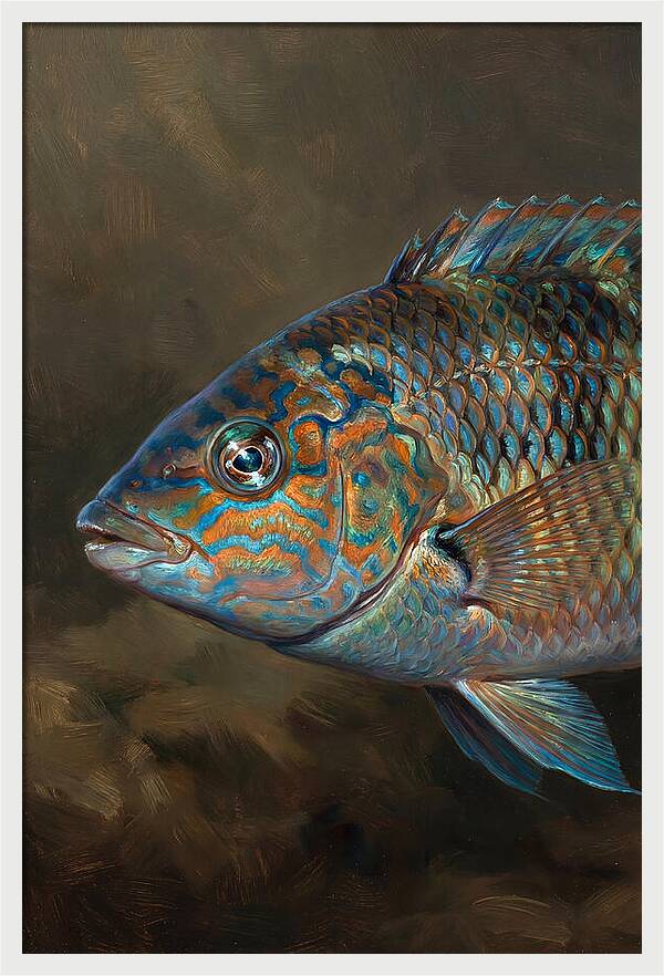 Vibrant Wrasse Portrait