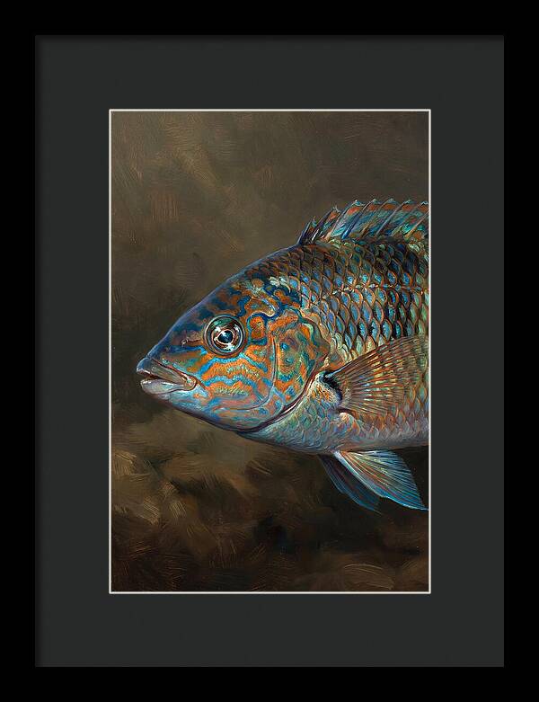 Vibrant Wrasse Portrait