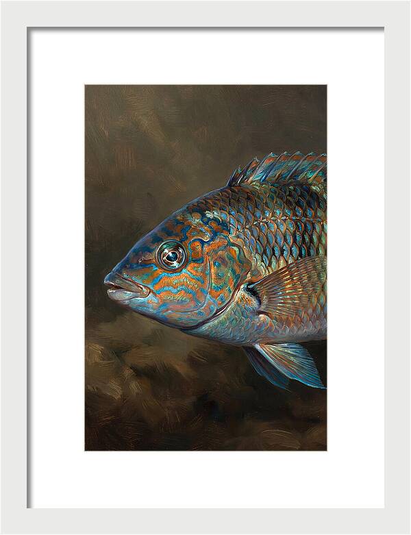 Vibrant Wrasse Portrait
