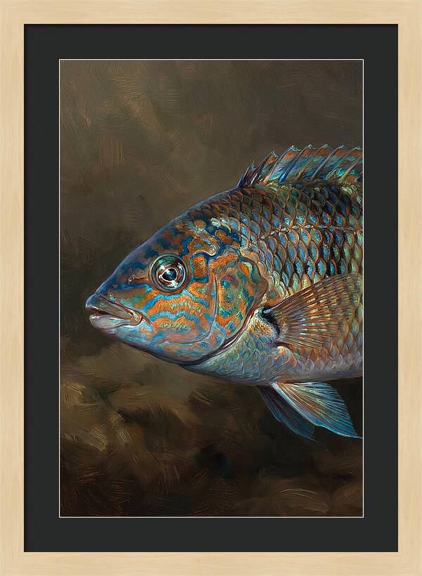 Vibrant Wrasse Portrait