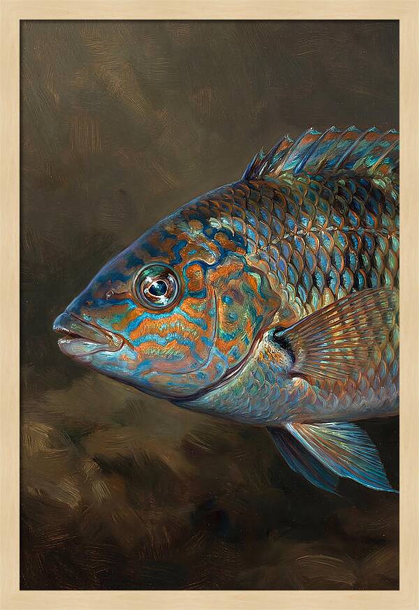 Vibrant Wrasse Portrait