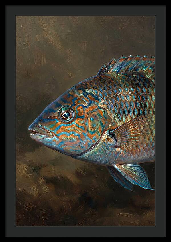 Vibrant Wrasse Portrait