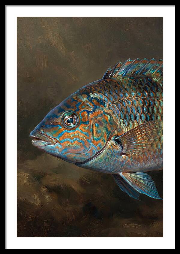 Vibrant Wrasse Portrait