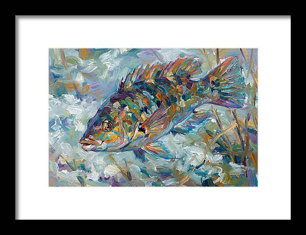Vibrant Wrasse Underwater Scene