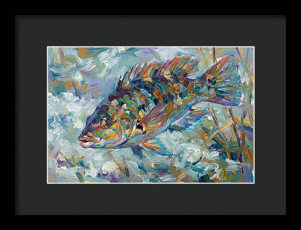 Vibrant Wrasse Underwater Scene