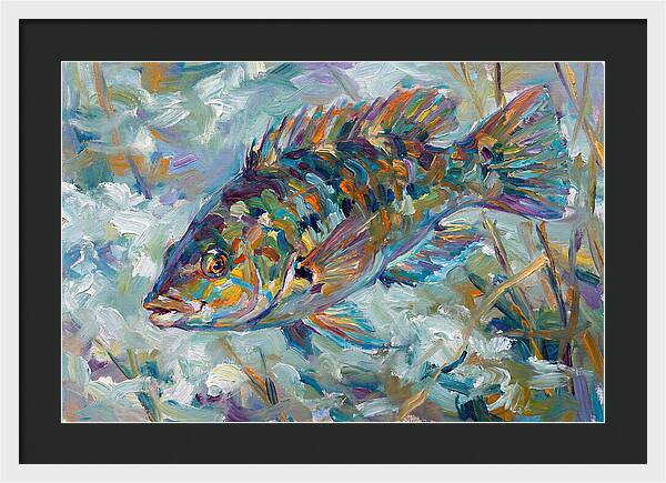 Vibrant Wrasse Underwater Scene
