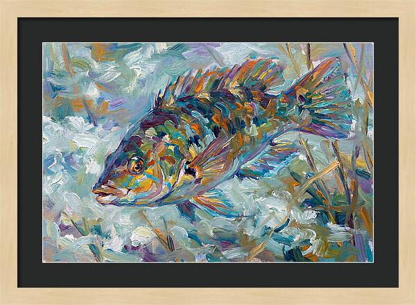 Vibrant Wrasse Underwater Scene