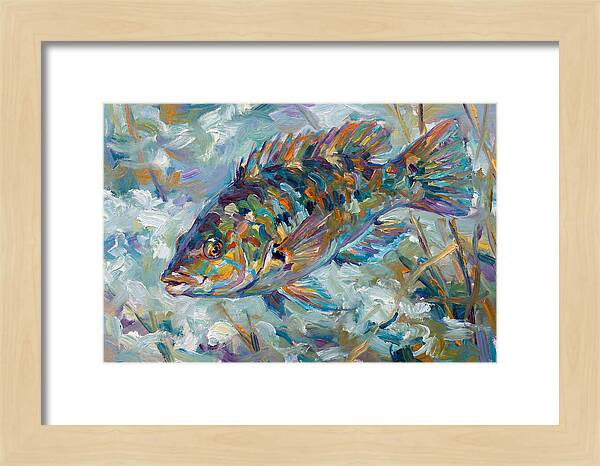 Vibrant Wrasse Underwater Scene
