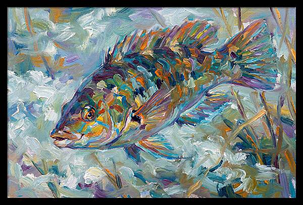 Vibrant Wrasse Underwater Scene