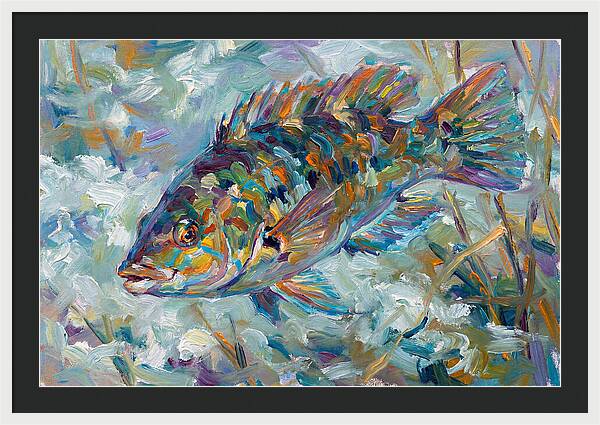 Vibrant Wrasse Underwater Scene