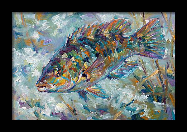 Vibrant Wrasse Underwater Scene