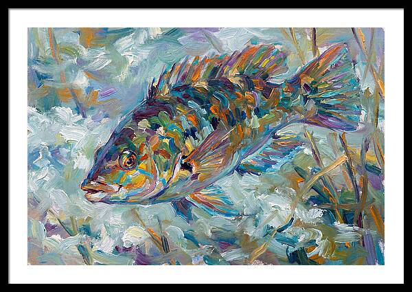 Vibrant Wrasse Underwater Scene