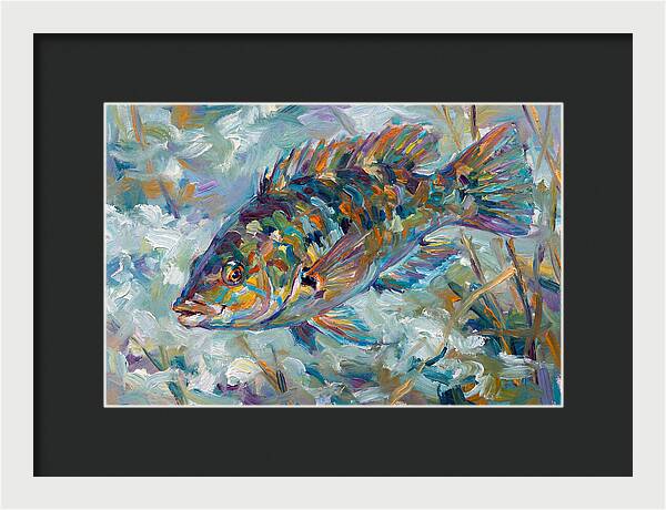 Vibrant Wrasse Underwater Scene