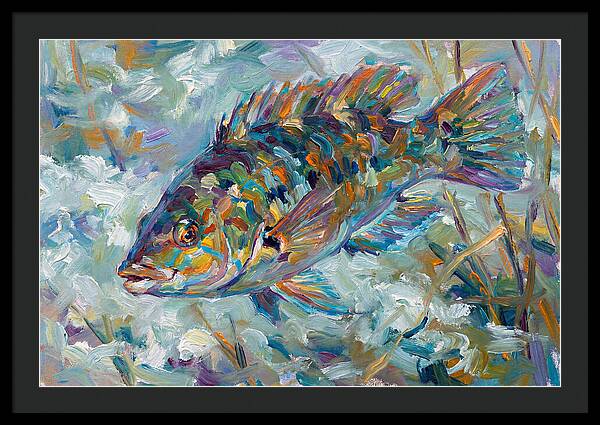 Vibrant Wrasse Underwater Scene