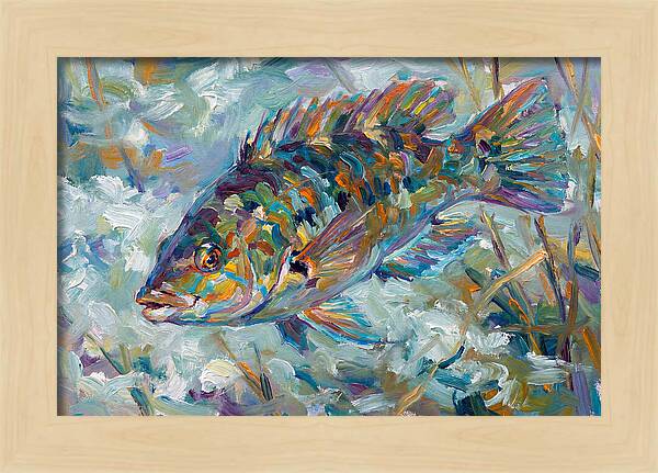 Vibrant Wrasse Underwater Scene