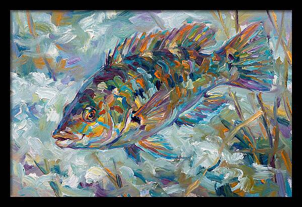 Vibrant Wrasse Underwater Scene