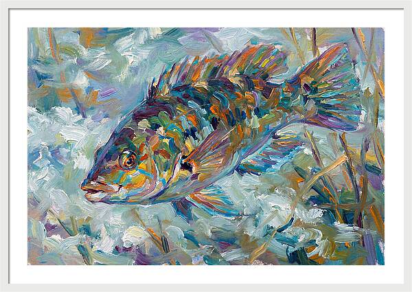 Vibrant Wrasse Underwater Scene