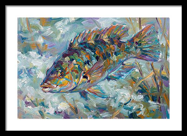 Vibrant Wrasse Underwater Scene