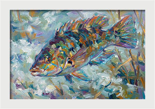 Vibrant Wrasse Underwater Scene
