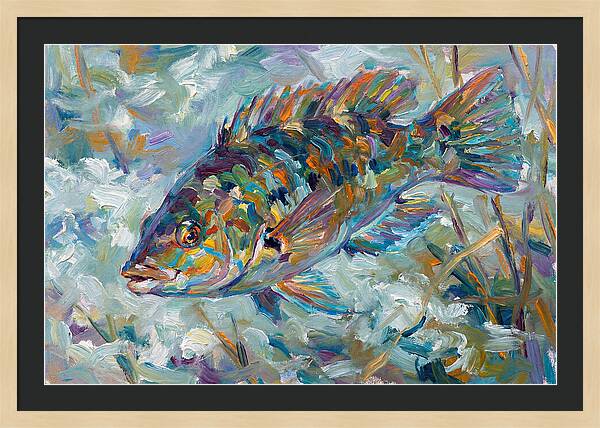 Vibrant Wrasse Underwater Scene