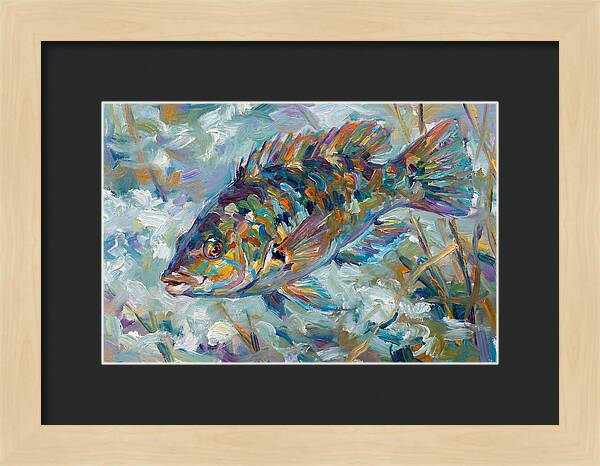 Vibrant Wrasse Underwater Scene