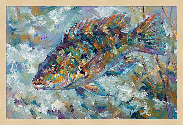 Vibrant Wrasse Underwater Scene