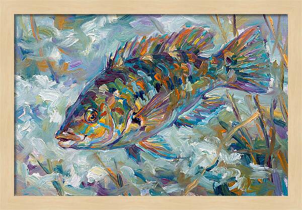 Vibrant Wrasse Underwater Scene