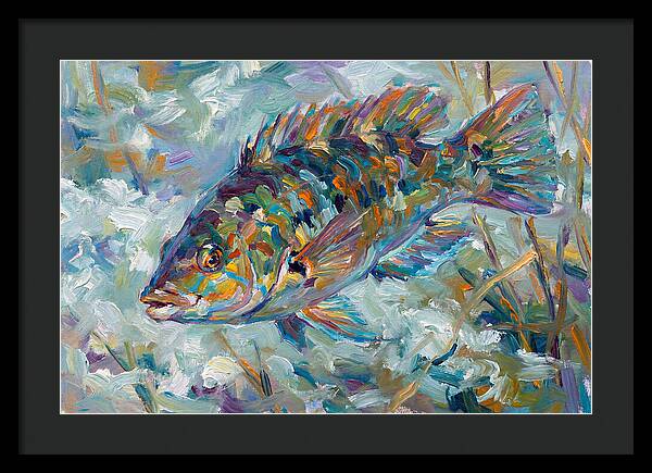 Vibrant Wrasse Underwater Scene